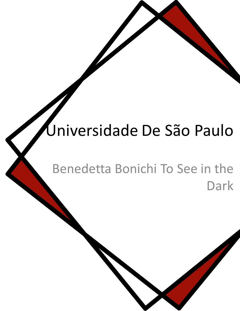 Benedetta Bonichi To See in the Dark